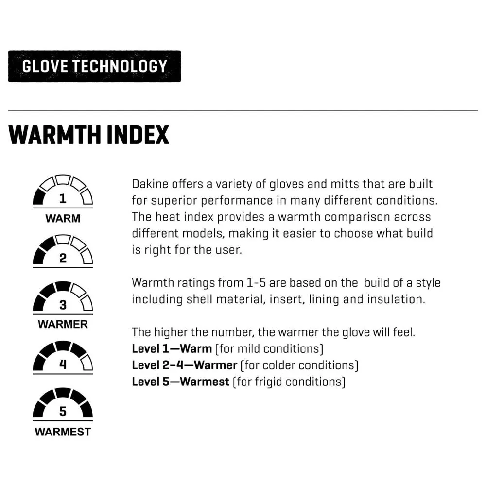Dakine Leather Titan Gore-Tex Snowboard/Ski Glove - Carbon
