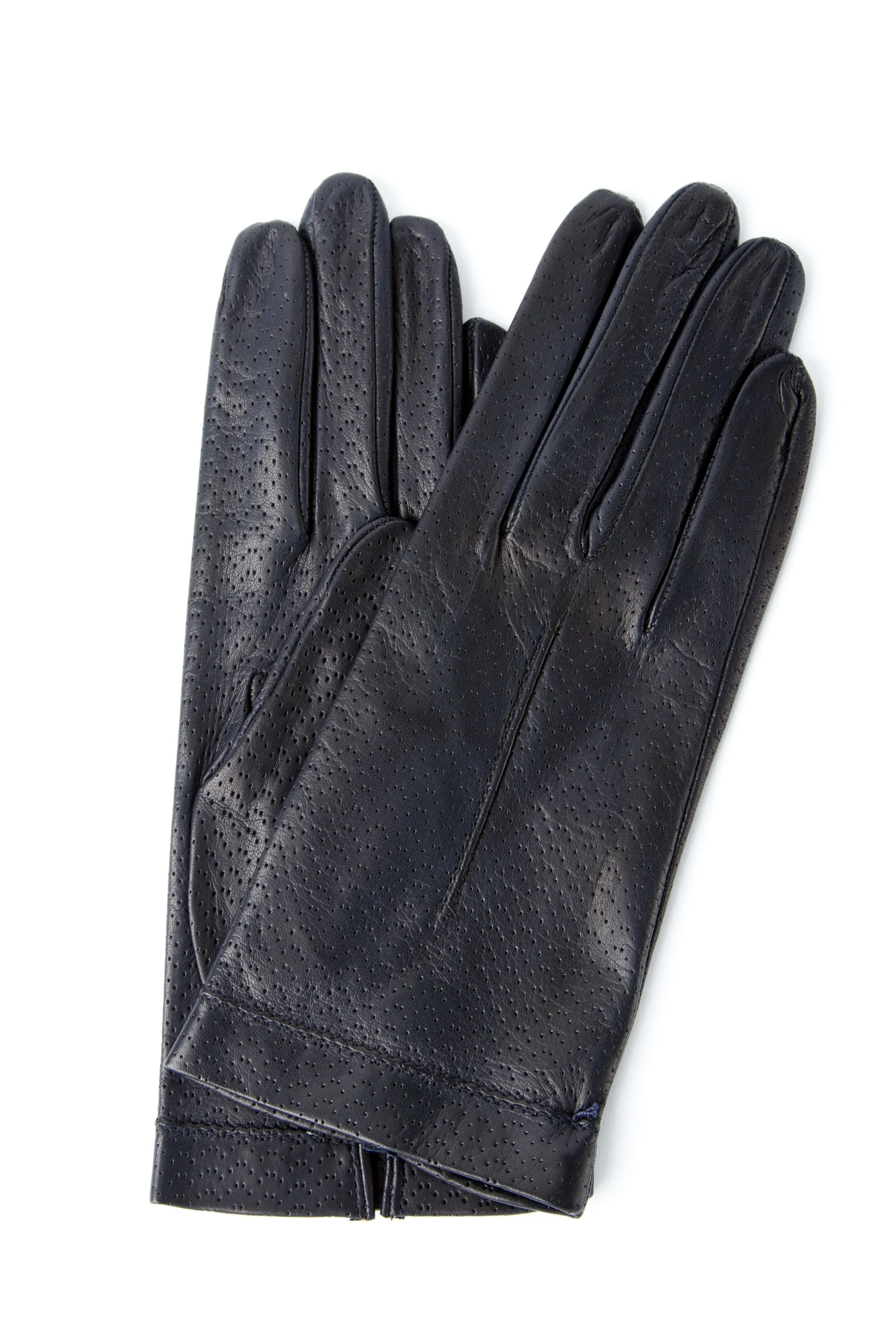 Domino/Navy