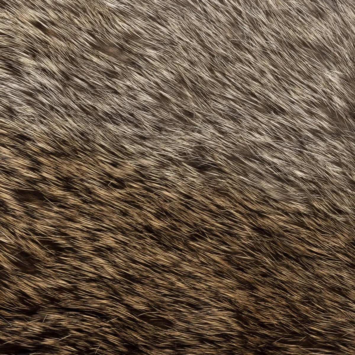 Francesca (brown) - Italian lambskin leather gloves with brown rabbit fur lining