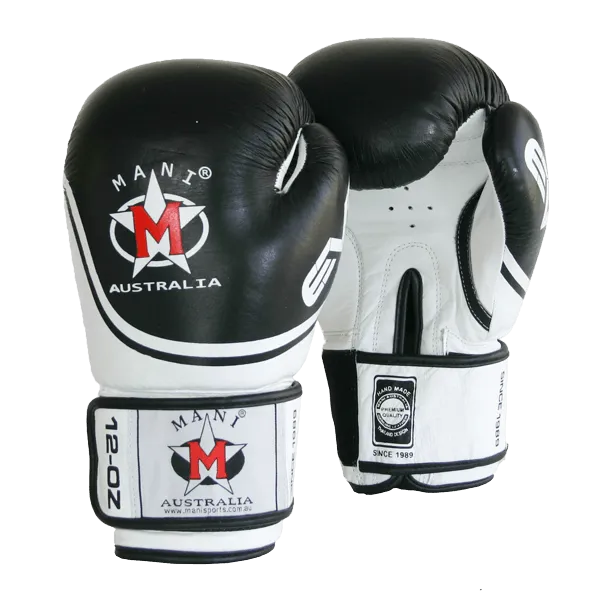 Leather EVO Boxing Glove