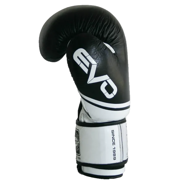 Leather EVO Boxing Glove