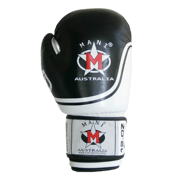 Leather EVO Boxing Glove