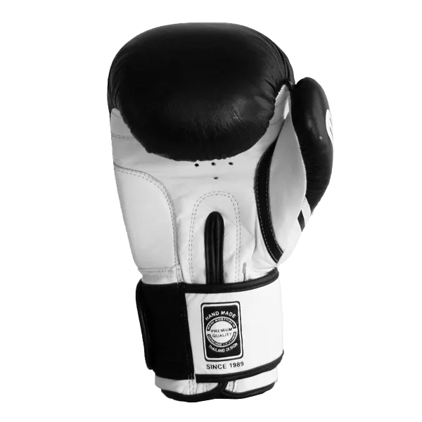 Leather EVO Boxing Glove