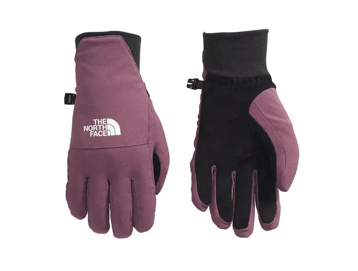 North Face Shelbe Raschel Etip Glove (NF0A888R) Womens 2025