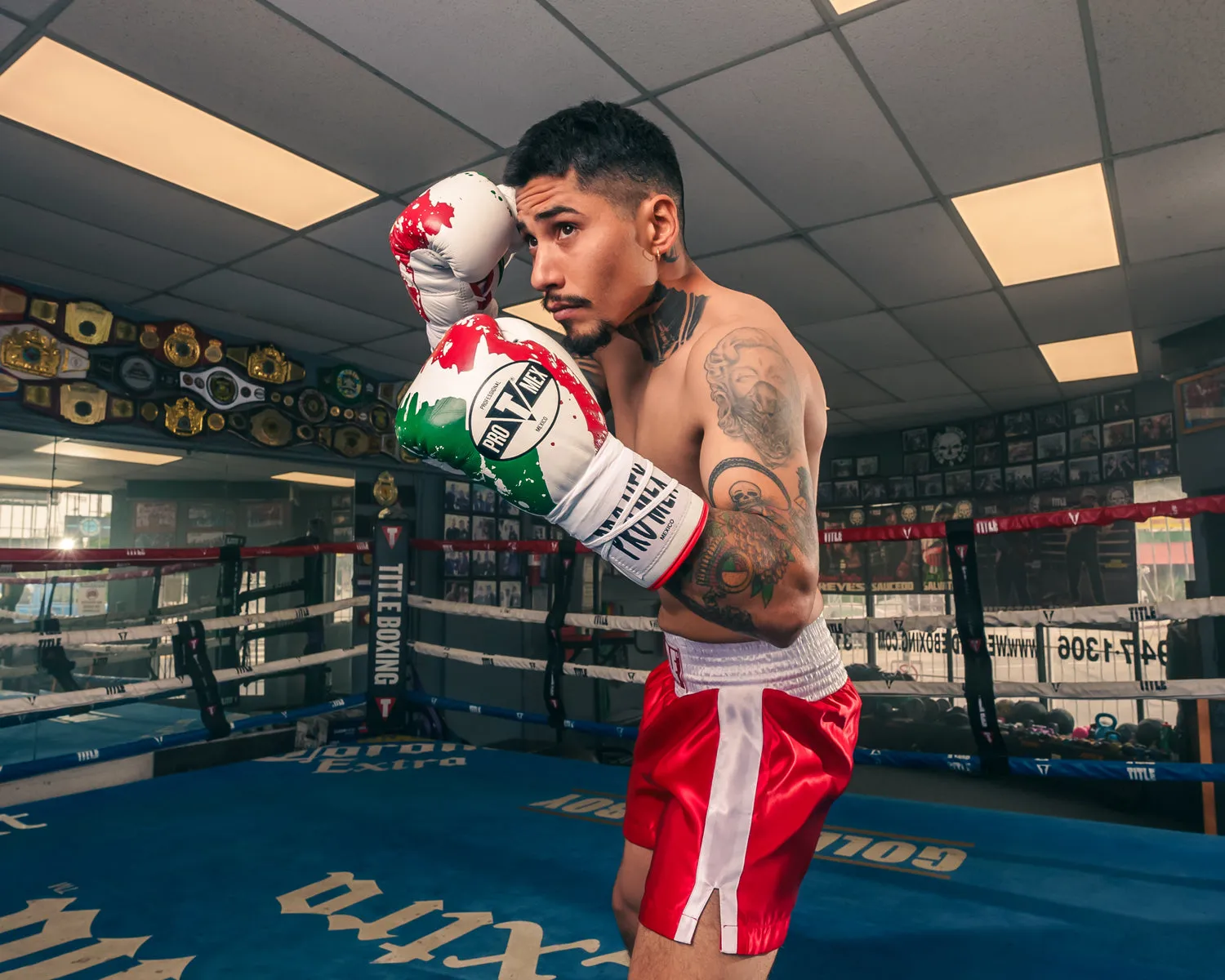 Pro Mex Combatiente Pro Fight Boxing Gloves