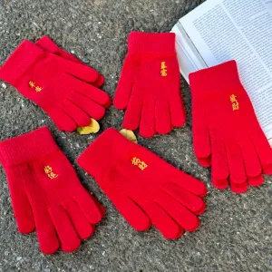Zodiac Year Red Gloves for Women, Winter Embroidered China Red Five-Finger Gloves, Warm, Windproof, Cold-Proof, Touchscreen Compatible